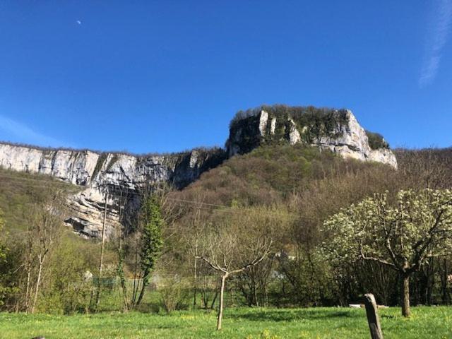 Gite De La Cascade Les Planches-pres-Arbois Exterior photo